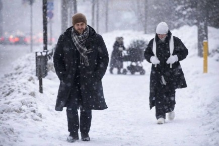 ��������� ���� ����: �������� � ���������� ������������!