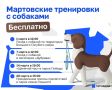 В марте казанцев приглашают на бесплатные тренировки с собаками