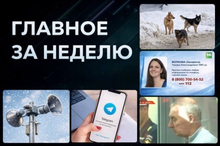 �������� ��������� � ����������, ��������� �������, �������� �����, ���� �����, 24 ���� �� ���������, Telegram ��� �������, ������ ��� ������ �����, ����� ���������� | ������� �� ������