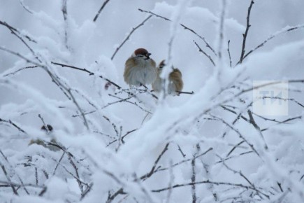 �� ������� � ����������, ������� �������