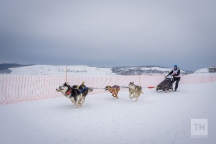 � ������ ������ �������� ���������� ������� ��� ����� � �� ������