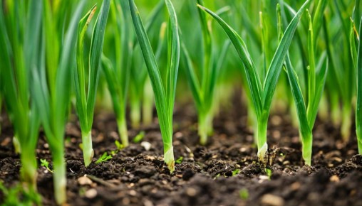 ������ ������ ������ ����� �������� ������ � ��� � ���� ����������