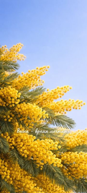 � ������� ��� ����� ����������� ��� ��� ��������� ����� ��� �������� � ������� ������� ������