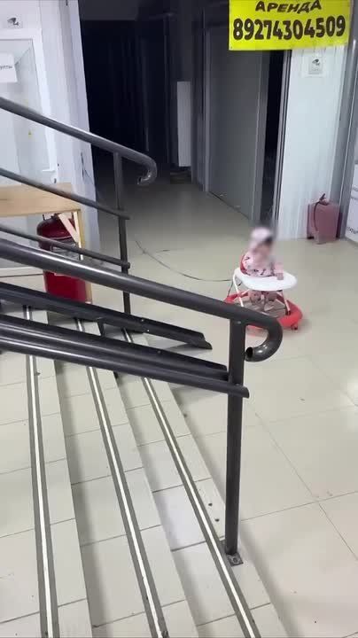 � ������ �������� ����, ������������ ������� � �������� � �������