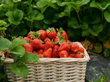 ��� ����������� �������� � ����: ��� ������� ���� ��� ��������� ������