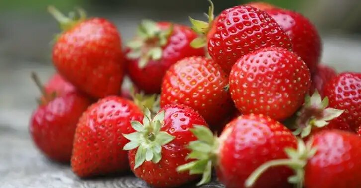 Как вырастить крупную клубнику: советы для садоводов