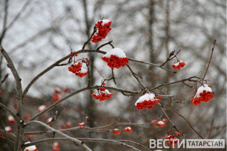 В Татарстане 3 марта ожидаются метель и гололедица