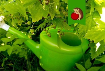 ������� ����� �� �������� �������, ��� �������� ������� � ������� ������