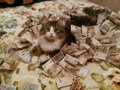 Средняя зарплата в двух районах Казани выросла на 19% за 2025 год