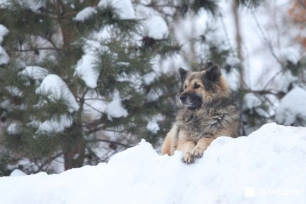 � ������ �� 2025 ��� ���������������� 9 794 ������