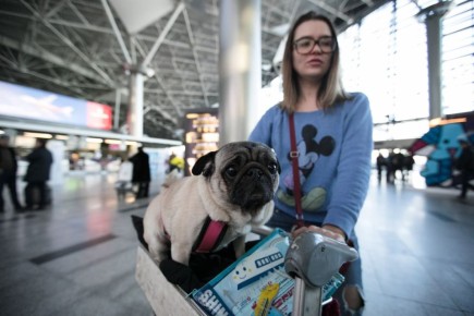 Azur Air �������� ������� �� ������������ Boeing 767 ����� ��������� �� ����� ������ � ������