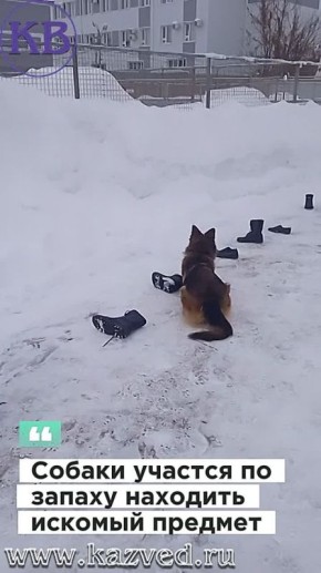 �������������� ��» �������� � ��������� ��������� ����� �� ��, ��� ����� 16 ��������� ����������� � �� ������