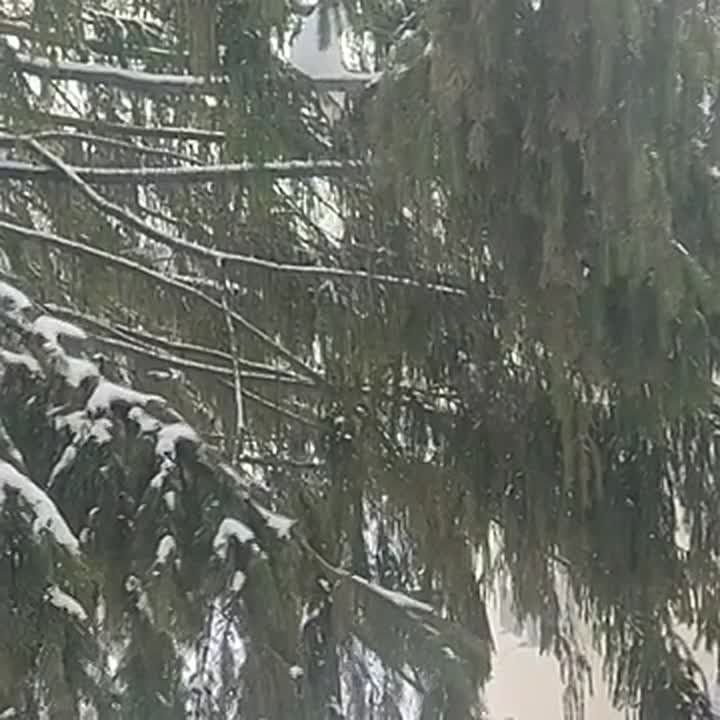 ������� ������?. ������