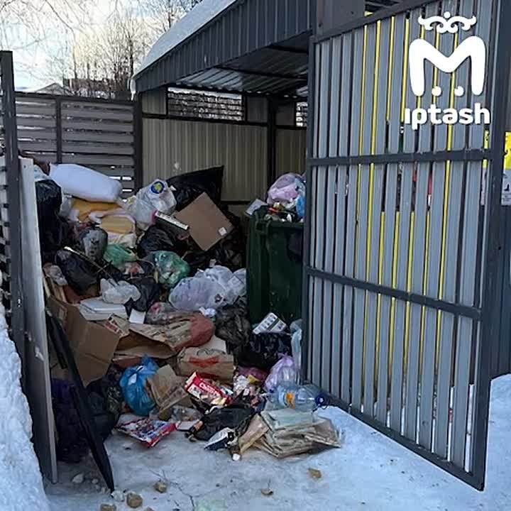 УК ПЖКХ обещала развести мусорные горы Казани к 1 марта