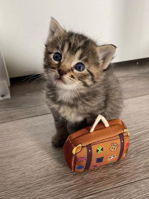 Накопить на переезд из однушки в двушку в Татарстане можно примерно за год