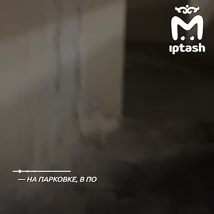 Грибы три месяца растут на подземной парковке ЖК "МЧС" на Зур Урам