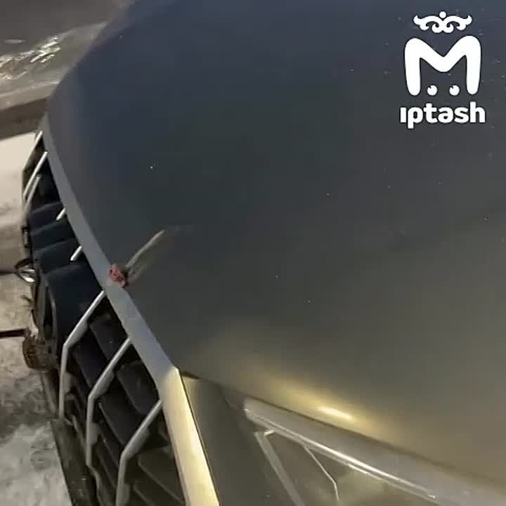 ������� �� ������ ������ ���� ��������� �� ������