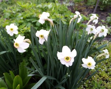 �������� ��������: ������� �������� ������� � �����