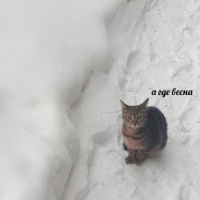 В Татарстане 9 марта ожидается резкое похолодание до -29 градусов