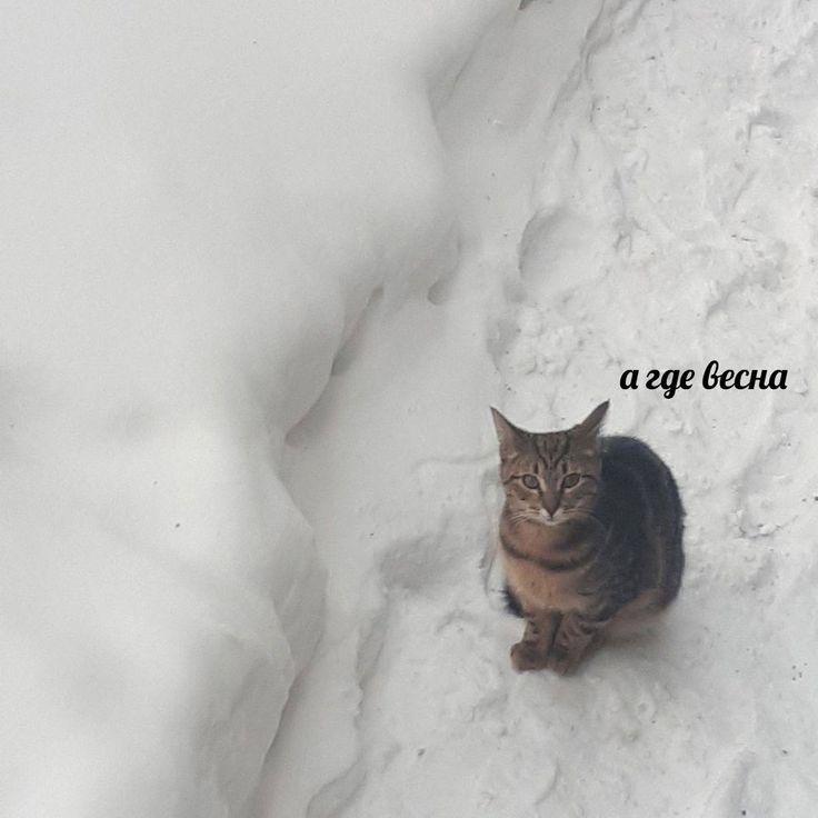 В Татарстане 9 марта ожидается резкое похолодание до -29 градусов