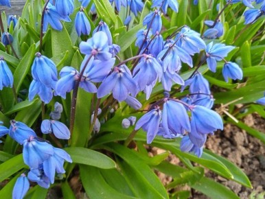 ����� � ������: ������ ����������� �����?��� ��� ����� ������