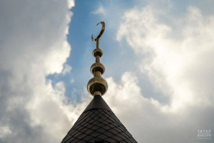 ������ ����, ������! ������� 11 ����� 2026 ����