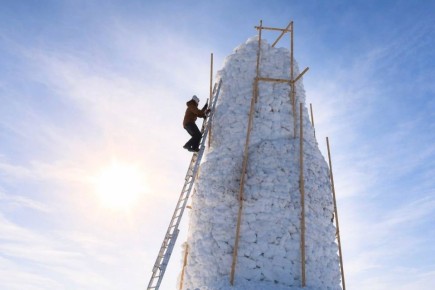 ��������-������: ������� ������ 16-��������� �����������