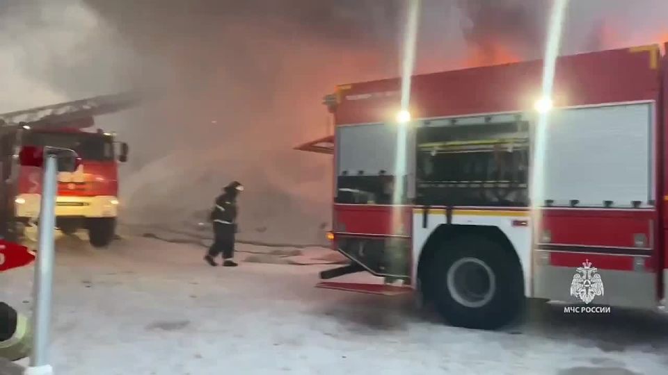 ����� �� ��� ������ "���������" ������� ����� � ������, �������� � ���