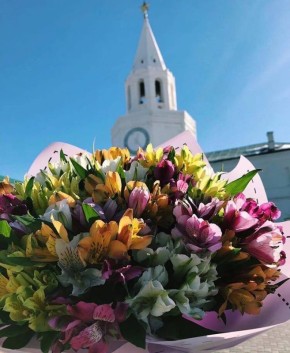 � ���������� ��������� �� 6 �������� ���� ����