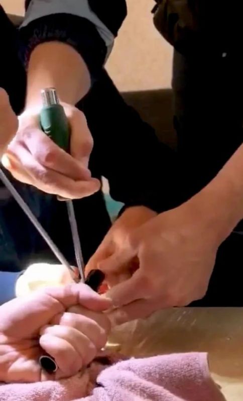 � ������ ��������� ������� ����������� ��������, ����� �������� ������� � ��������� �����