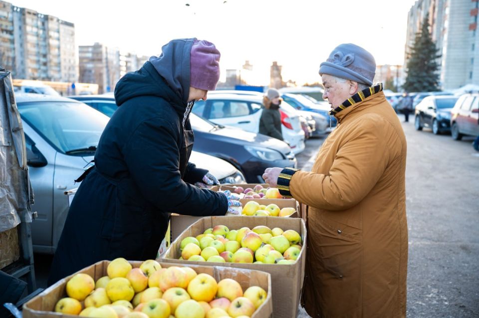 � �������, 14 �����, � ���������� �������� ������������ �������������������� �������