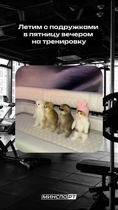 �� ������ ���, ���� ��������� �� ������ �� ���