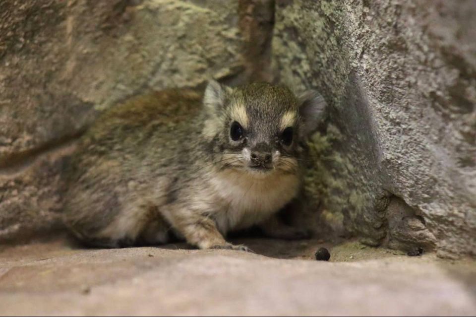 � ���������� ��������� ������� ����������� �������� �������� � ����� �� ������ ����� ����