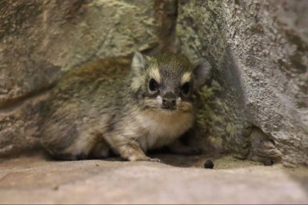 � ���������� ��������� ������� ����������� �������� �������� � ����� �� ������ ����� ����