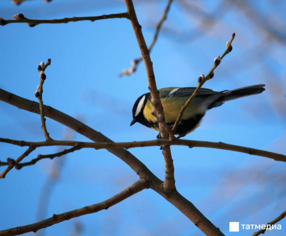 В Казани побит температурный рекорд, достигнутый в 2020 году
