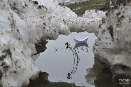 ������ � ���������� �� 16 �����: �����, ���������� � �� +7 ��������