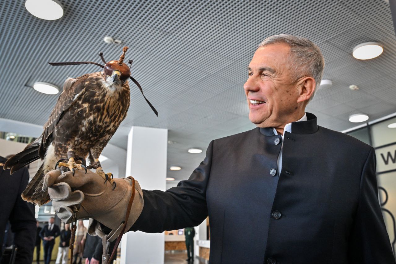 Знали ли вы, что в Татарстане возрождают популяцию сокола-балобана?