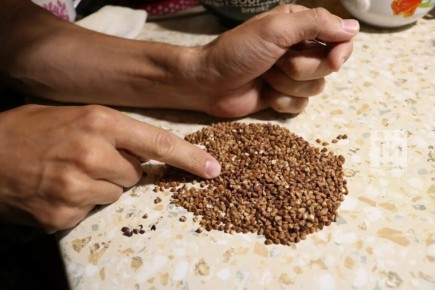 ������ ����, ������! ������� 17 ����� 2026 ����