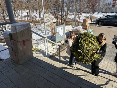 ���������� ���������� �������� ����� ������ � ���� ����������� ������� ��������