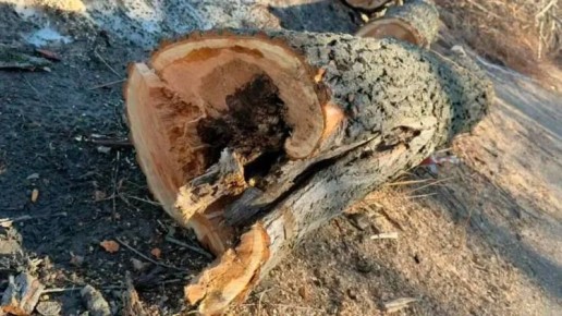 ������ ������ ��������� ������� �������� �� ������ ����� �����