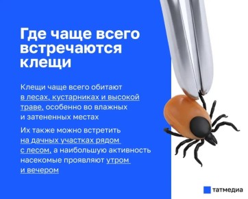 �������� ������������ ���� ��������� ������ � ���� ����