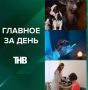 Пастереллёз и запреты на скот, ЧП в школе Челябинска, дефицит врачей в Казани, кризис фермеров, «новая нормальность» без связи | ГЛАВНОЕ ЗА ДЕНЬ