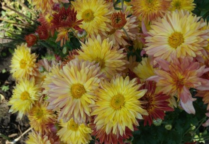 ����������� ������������: ��� ���������� ����� � ����� �� ��������� �������