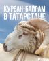 Курбан-байрам в Татарстане: площадки и ветеринарный контроль