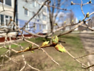 Провожаем последние дни марта, на сегодня синоптики прогнозируют сухую погоду, воздух прогреется до +10