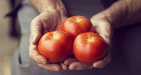 ��� ������� ������� ������� ������ ����� �������� ������� ������