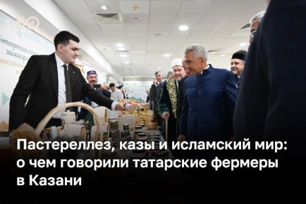 ������, ����� ������, �������� ������ ��������, ��� ������ ��������, � ������� ���� �� �������� �� ������������� ����� ���������������� ��������� ���, ����������� ��������� ������� ��������� ������ ��-�� ������� ������������