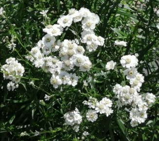 ����������: �������������� ������� �������������� � ����� ����