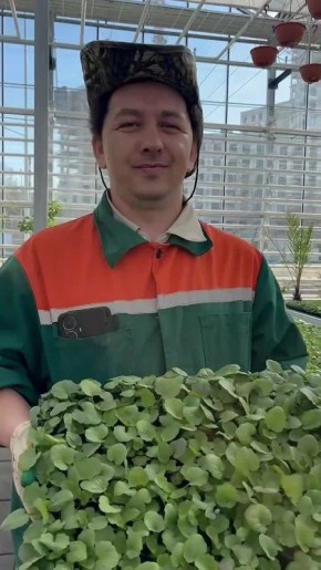 ��� ��������� ��������� ������� �����������