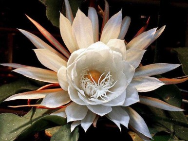 ����� ������� ��������� ��������: ��� �� ������������ ��������